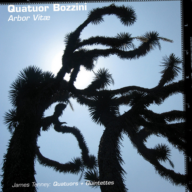 Arbor Vitæ album cover