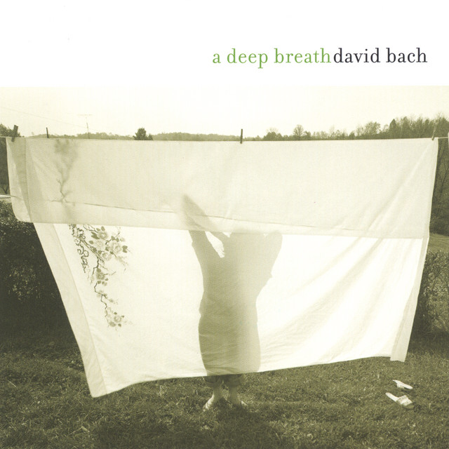 A Deep Breath album cover
