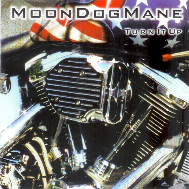 Turn It Up album cover