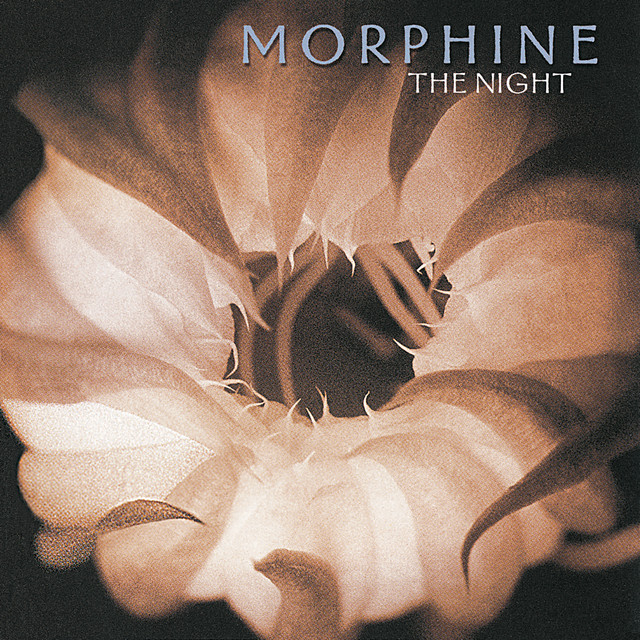 The Night album cover
