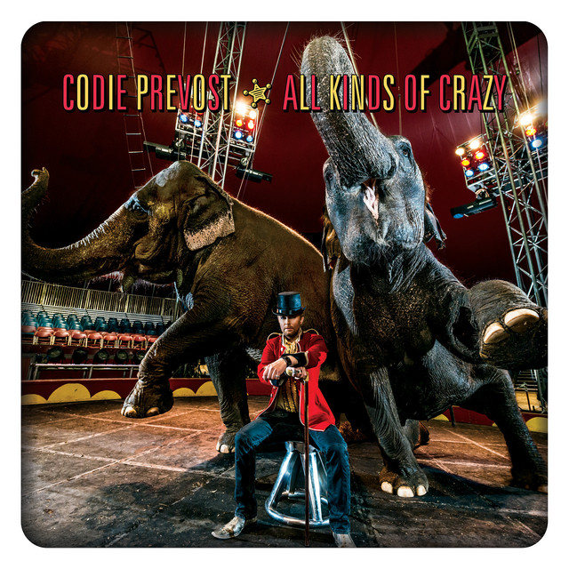 All Kinds of Crazy album cover