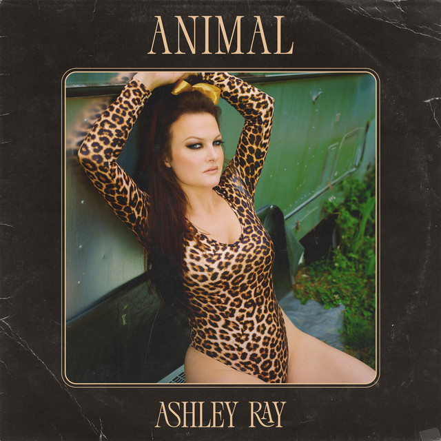 Animal album cover