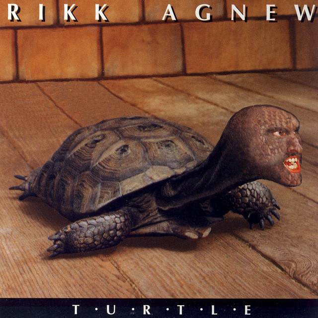 Turtle album cover