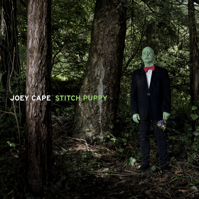 Stitch Puppy album cover