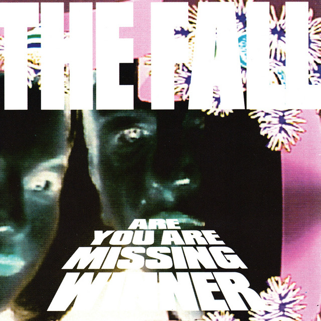 Are You Are Missing Winner (Deluxe Version) album cover