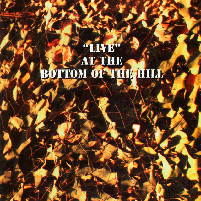 Live At The Bottom Of The Hill album cover
