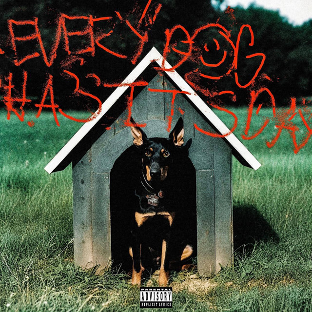 EVERY DOG HAS ITS DAY album cover