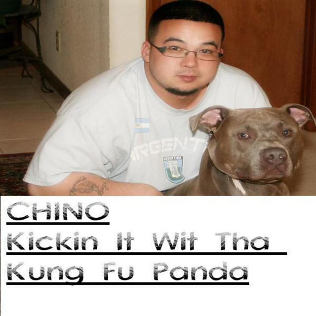 Kickin It Wit Tha Kung Fu Panda album cover