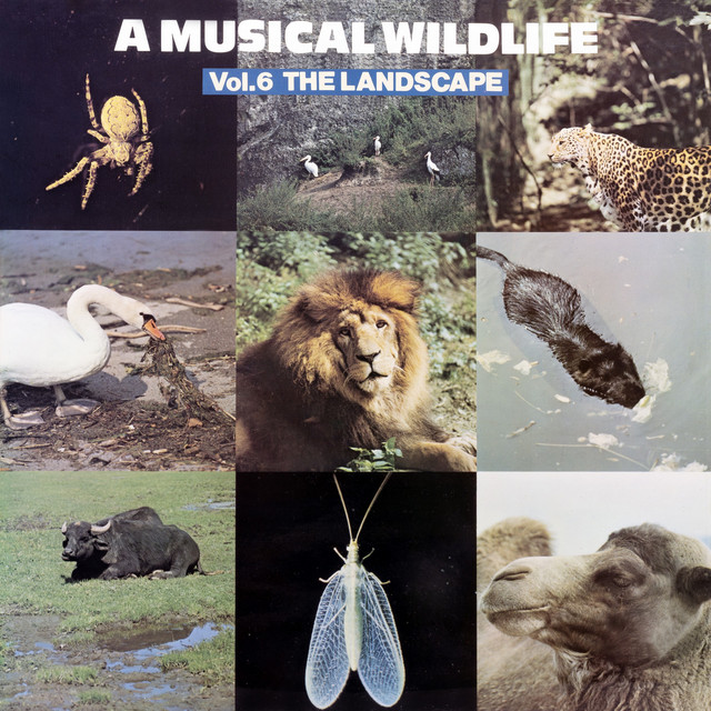 A Musical Wildlife, Vol. 6: The Landscape album cover