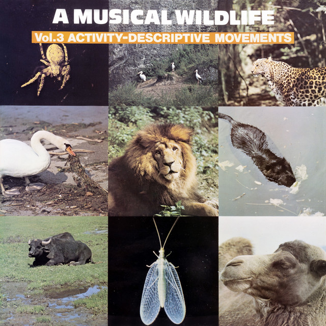 A Musical Wildlife, Vol. 3: Activity-Descriptive Movements album cover