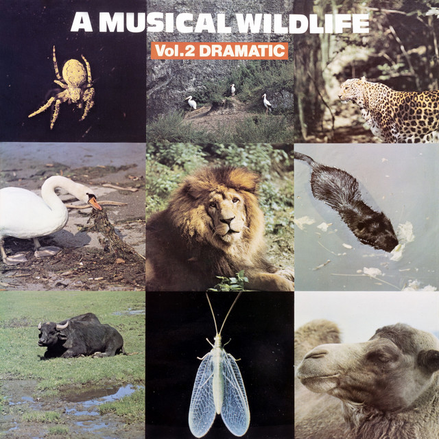 A Musical Wildlife, Vol. 2: Dramatic album cover