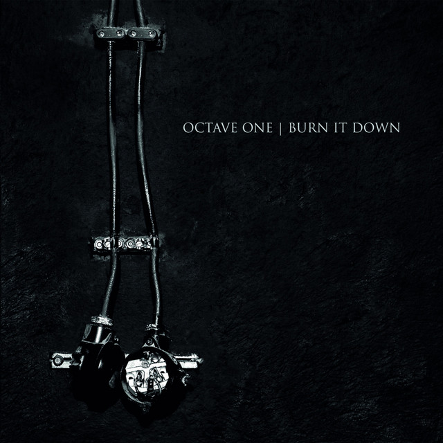 Burn It Down album cover