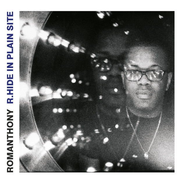 R. Hide In Plain Site album cover