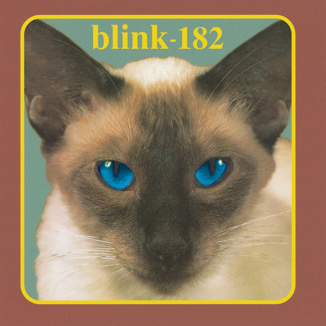 DiMarzio DP102 X2N as heard on Cheshire Cat by Blink-182 (1995)
