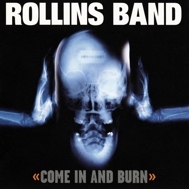 Come In And Burn album cover