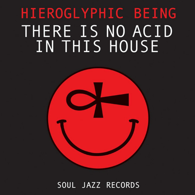 There Is No Acid In This House album cover