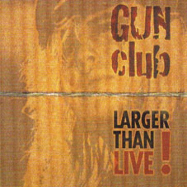 Larger Than Live album cover