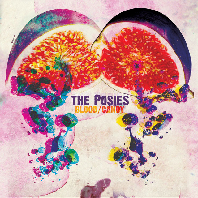 Epiphone Dot as heard on Blood/Candy by The Posies (2010)