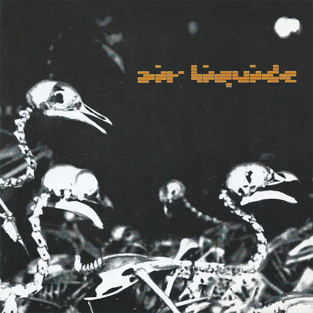 Abuse Your Illusions, Part 1.1 album cover