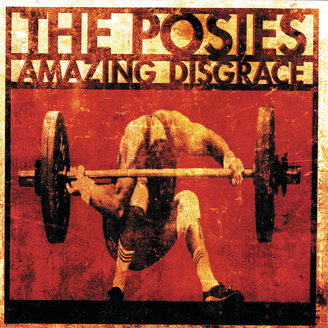 Amazing Disgrace album cover