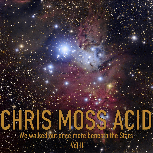 We Walked Out Once More Beneath the Stars, Vol. 2 album cover