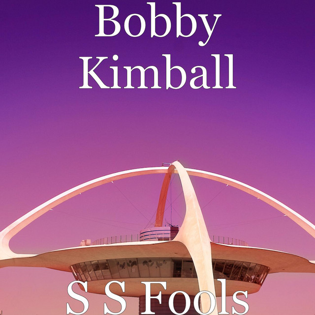 S S Fools album cover