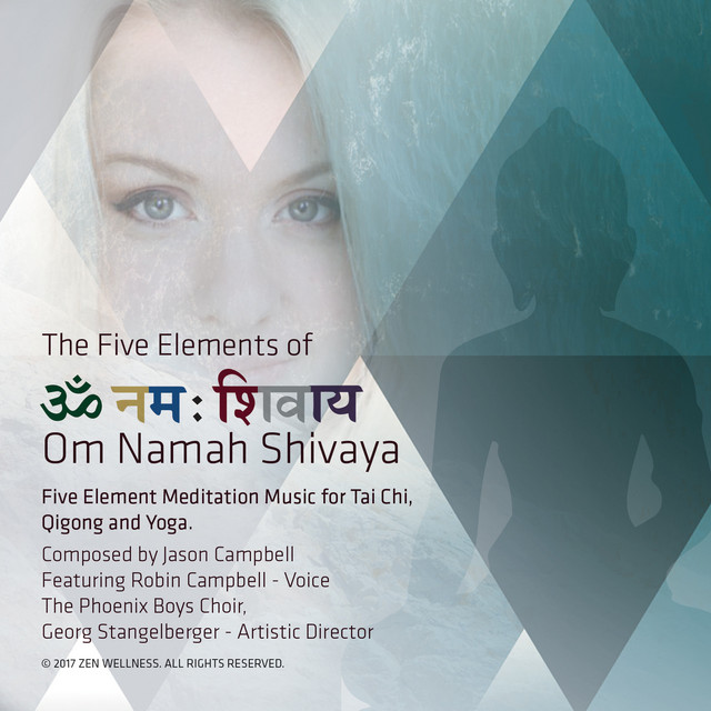 The 5 Elements of Om Namah Shivaya: 5 Element Meditation Music for Tai Chi, Qigong and Yoga album cover