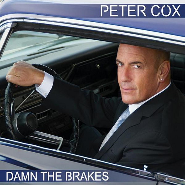 Damn the Brakes album cover