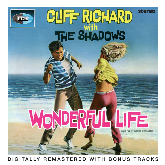 Wonderful Life album cover