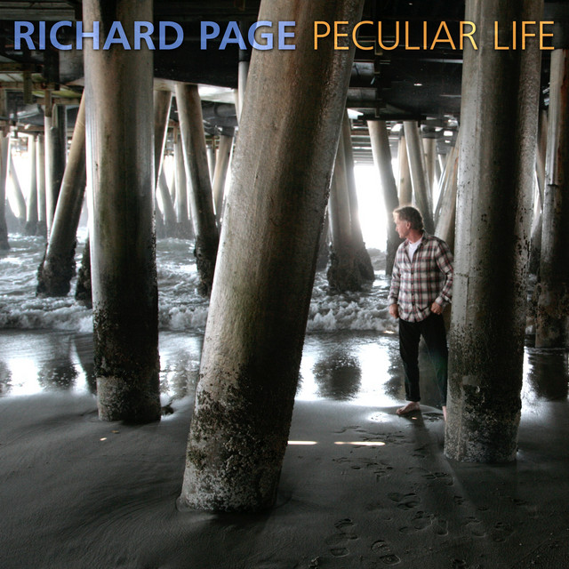 Peculiar Life album cover