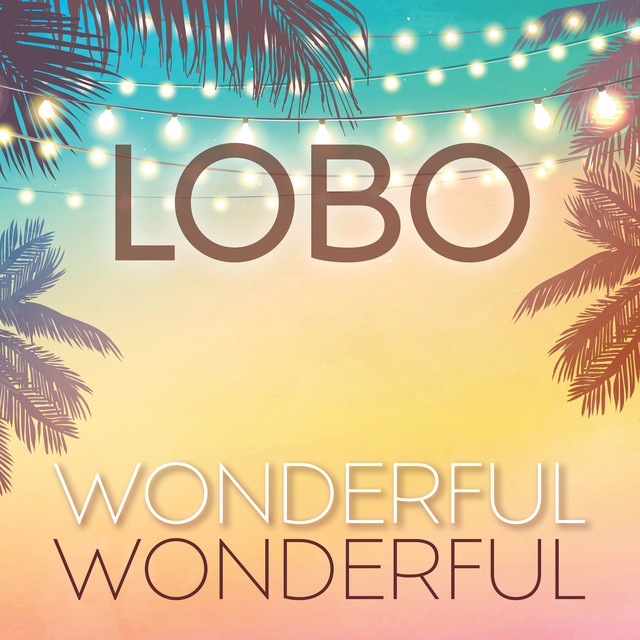 Wonderful, Wonderful album cover