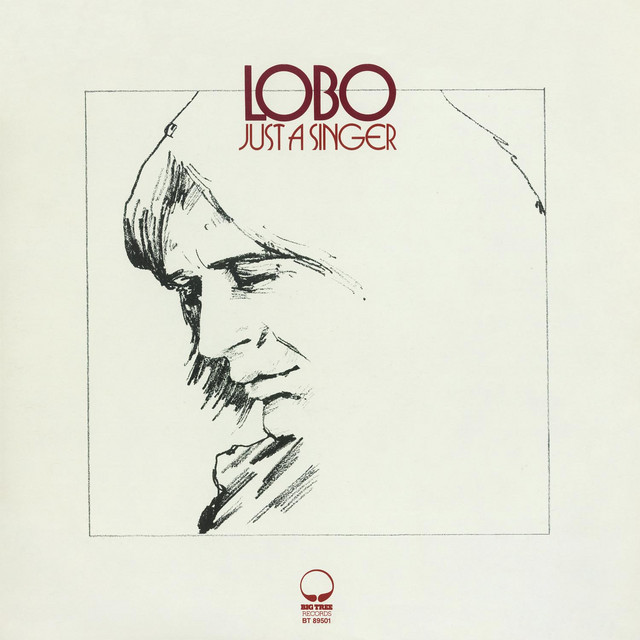 Just A Singer album cover
