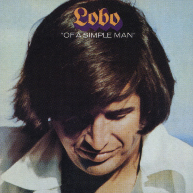 Of A Simple Man album cover