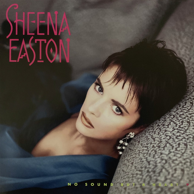 No Sound But A Heart album cover