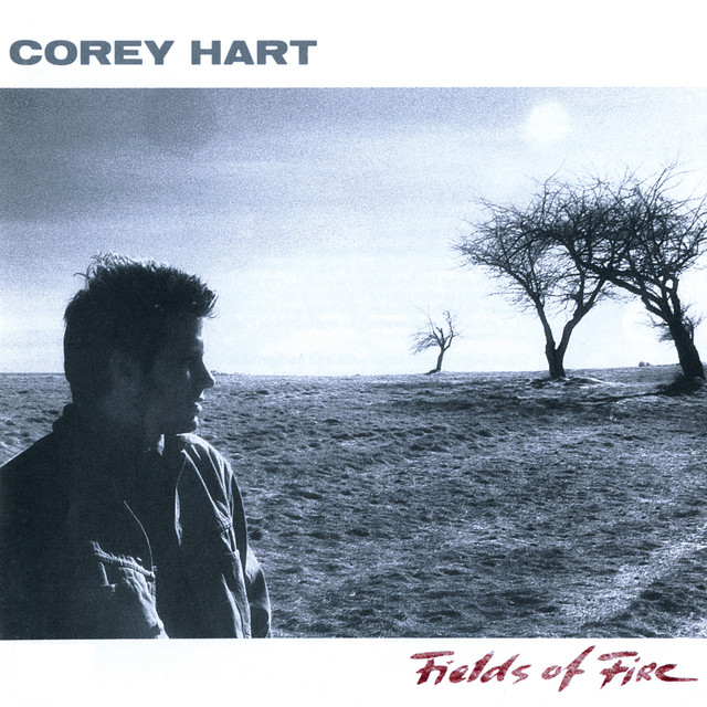 Fields Of Fire album cover