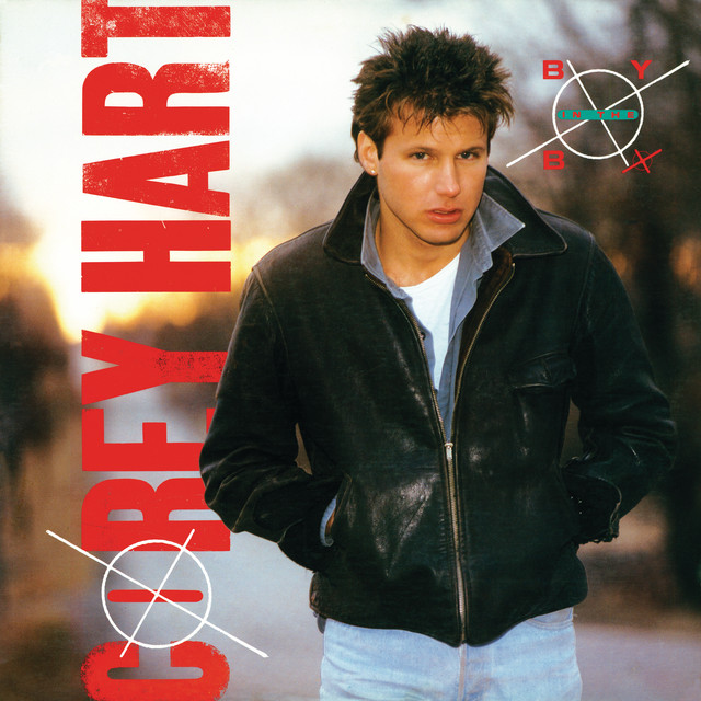 Boy In The Box album cover
