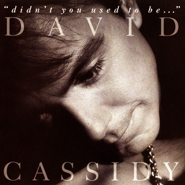 Didn't You Used To Be... album cover