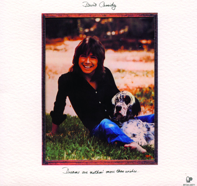 Dreams Are Nuthin' More Than Wishes album cover