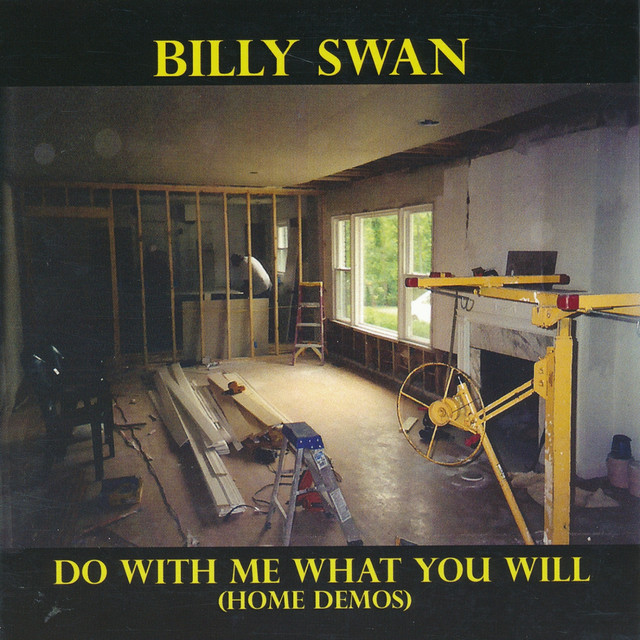 Do With Me What You Will (Home Demos) album cover
