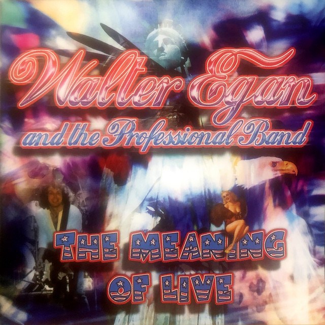 Meaning Of Live (Redux Remaster) album cover