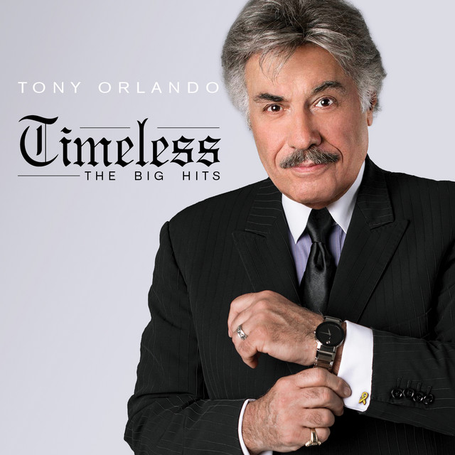 Timeless The Big Hits album cover
