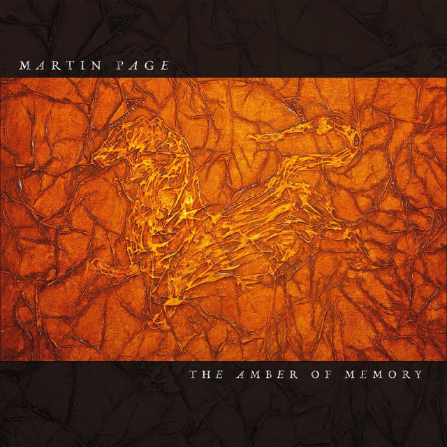 The Amber of Memory album cover