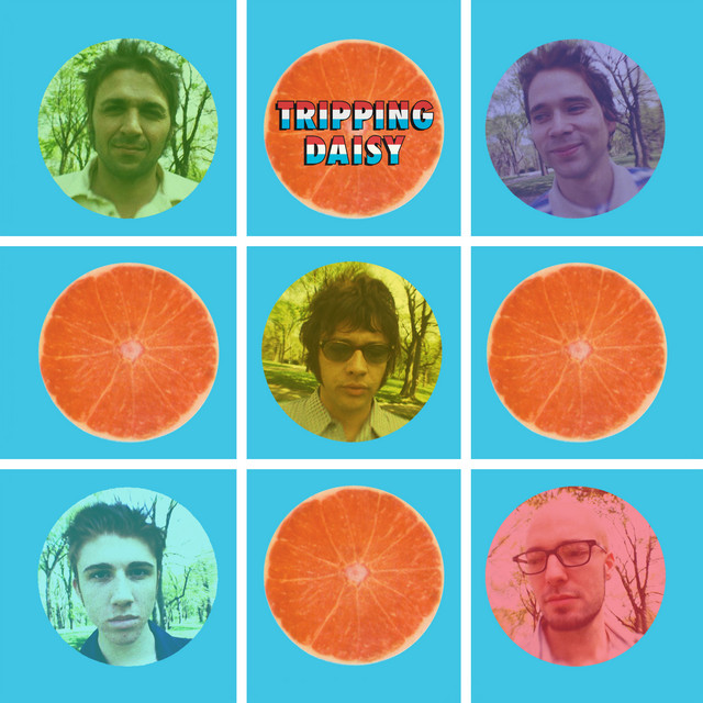 Tripping Daisy album cover