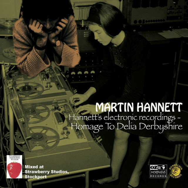Hannett's Electronic Recordings - Homage To Delia Derbyshire album cover