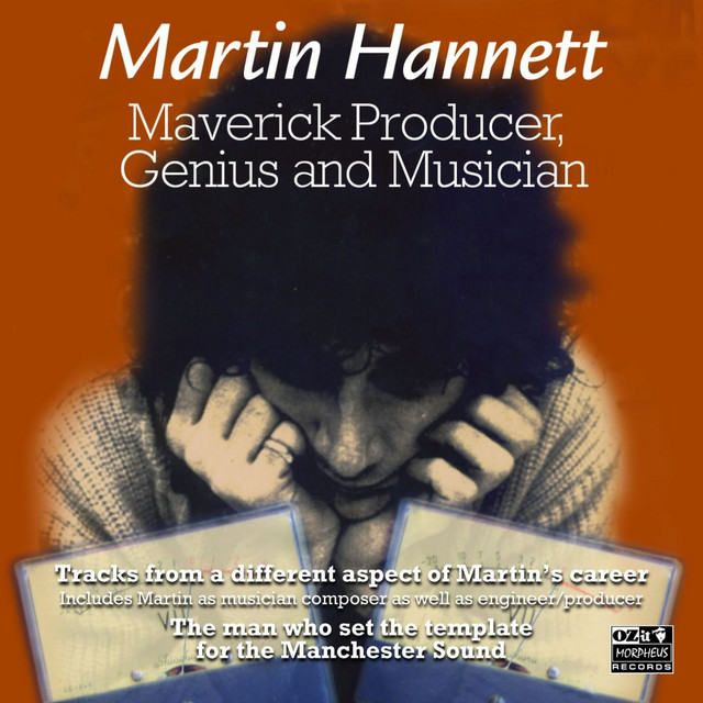 Maverick Producer, Genius and Musician album cover