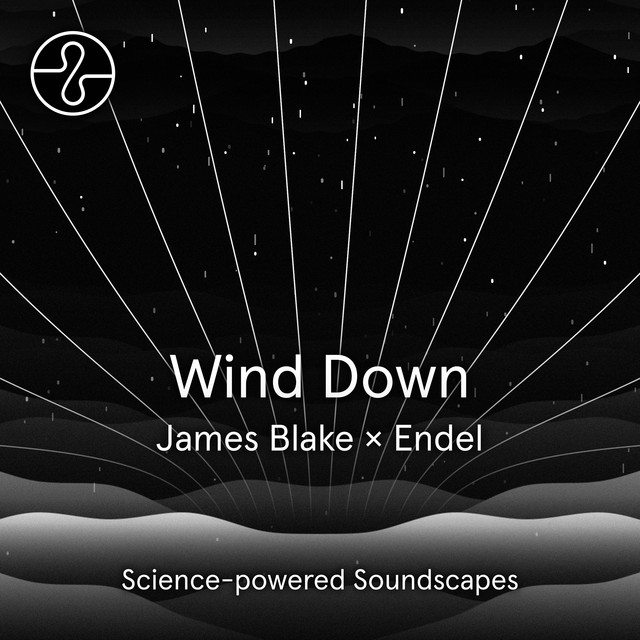 Wind Down album cover