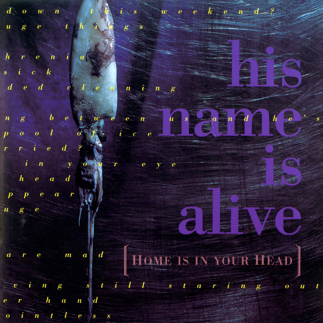 Home Is in Your Head album cover