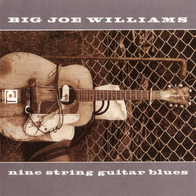 Nine String Guitar Blues album cover