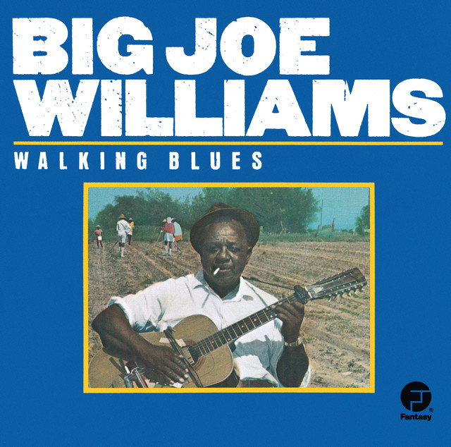 Walking Blues album cover
