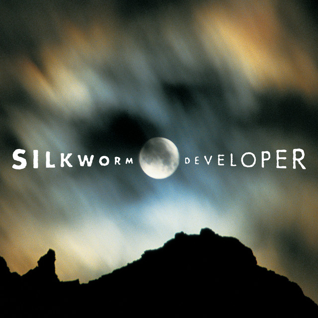 Developer album cover